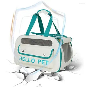 Bolsa de viagem para cães e gatos, dobrável, portátil, grande capacidade, com alça de ombro, material macio para uso ao ar livre