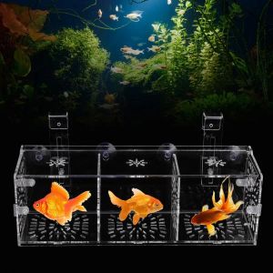 Parts Transparent Acrylic Fish Tank Breeding Isolation Box Aquarium Isolation Box Hatchery Fish Breeding Incubator Holder