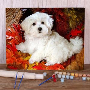 Number Dog Flower Animal Coloring By Numbers Painting Set Oil Paints 40*50 Picture By Numbers Photo Home Decoration Handiwork