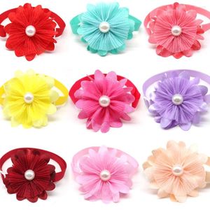 ملابس الكلاب 50/100pcs bowtie spring pearl bowties/twlar للكلاب Samll Cat Bow Tiecties Pets Excaling Association