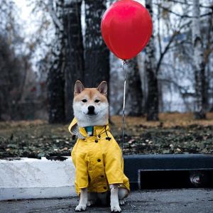 Capas de chuva para animais de estimação capa de chuva amarela com bolsos PU Bulldog Corgi roupas para cães pequenos e médios à prova d'água casaco de cachorro jaqueta para cães acessórios para cães