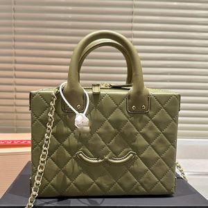 Large Capacity Designer Box Shape Handbag Semi Circular Handle And Double Zipper Gold Hardware Mateless Chain Women Luxury Cosmetic Bag Shoulder Bag 23x21cm