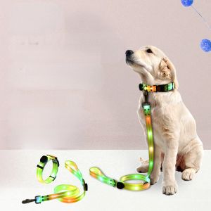 Set aus LED-beleuchteter Hundeleine und Halsband, wiederaufladbar, wasserdicht, im Dunkeln leuchtend, leuchtend, reflektierend, Hundeleine