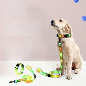 Zestawy LED Light Up Dog Smycz i kołnierz, ładowalne, wodoodporne, blask w ciemności, świetlisty, odblaskowy, smycz