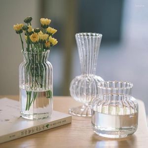 Wazony w stylu przezroczysty szklany szklany lekki luksusowy retro pionowy pionowy garnek z kwiatami hydroponiczny garnek