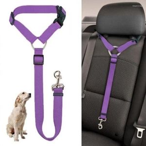 Trasportino per cani Tinta unita Sicurezza per animali domestici Cintura di sicurezza per auto 2 in 1 Guinzaglio in nylon Accessori per collare per imbracatura posteriore regolabile