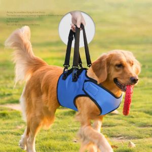 Tillbehör stöder främre ben Äldre funktionshindrade hund husdjur Auxiliary Belt Dog Lifting Belt Pet Lift Support Harness Dog Walking