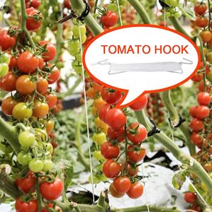 Supports 10m tomato greenhouse plant stand plant accessories for growing tomatoes and cherries in greenhouses Lattice wire tomato hooks