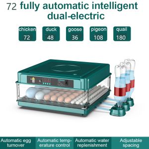 Accessori Incubatrice da 72 uova con mini incubatrice a cassetto con rifornimento automatico del letto ad acqua ionico e controllo della temperatura