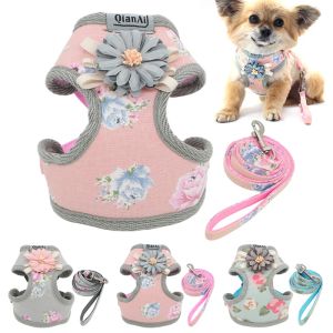 Harnesses Dog Harness Leash Set Fashion Lovely Floral Breathable Adjustable Cat Harness Vest for Small Medium Dogs Cats Leashes Outdoor