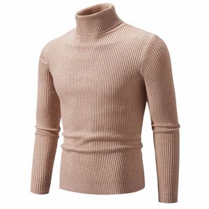 Autumn New Fi Design Herrstickad solid tröja vinter högkvalitativ turtleneck avslappnad elastisk manlig kvinnor varma tröjor 5xl g5eu#