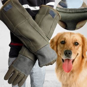 Eldiven anti ısırık eldivenler kalın inek derisi hayvan ısırık eldivenleri evcil hayvan dükkanı için köpek kedisi