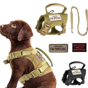 Harnesses Tactical Harness Vest Dog Harness Leash Set for Small Dogs Training Easy Control Vest Pet Chest Strap Accessories for Puppy Cat