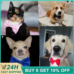 Hundebekleidung, 1 Stück, verstellbarer Riemen, langlebig und wiederverwendbar, praktische Halskette mit Modetrends für Haustiere, mit Top-Verkauf