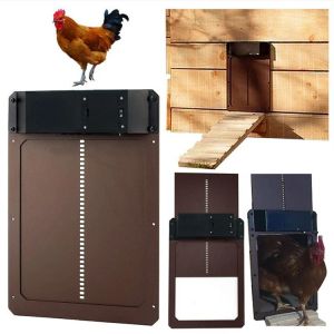 Acessórios Porta de galinheiro automática prática frango animal de estimação porta fotossensível atraso noturno e matinal guarda automática suprimentos de aves