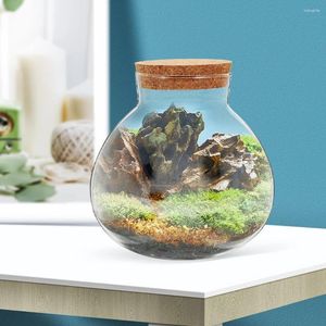 Vases 2 Pcs Micro Landscape Ecological Bottle Flowers Decoration DIY Glass Terrarium Mini Home Empty Moss Wood Base Dome