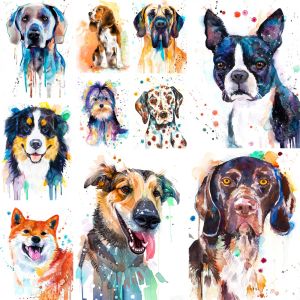 Nummer Animal Dog Painting by Numbers Package Oil Paints 40*50 PAITING BY NUMMER NY DESIGN FÖR VÄLVERS HANDRET Väggkonst Handikraft