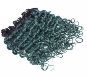 Ombre mänskliga hårbuntar Deep Wave Green Two Tone Colored Deep Curly Hair Weft Brasiliansk Virgin Hair Weave3666297
