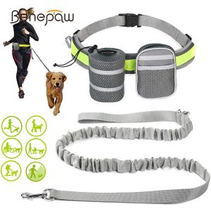 Leases Benepaw Reflective Handsfree Dog Leash med två förvaringspåsar Justerbar midja Elastisk husdjur som kör koppel för medelstora stora hundar