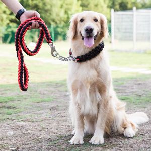 Leases Hand Holding Rope för hund, koppel krage, Golden Retriever, Labrador, husdjurstillbehör, tillbehör