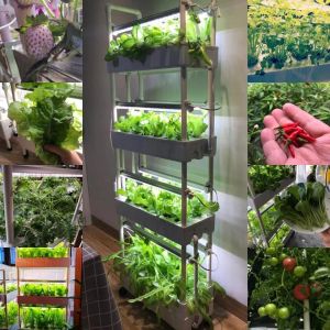 Potes 4 camadas 56 buracos verticais completos sistema de cultivo hidropônico kit plantador de jardim doméstico com luz LED para vegetais de morango