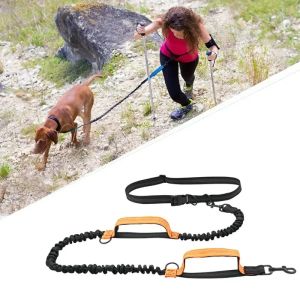 Leases infällbara händer gratis hund koppel för löpning, reflekterande stor hund koppel, dubbelhandtag, elastisk sladd, husdjursmaterial, ny