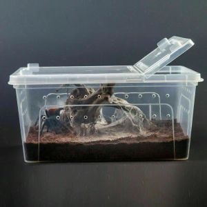 テラリウム給餌ボウル付き大きな爬虫類箱
