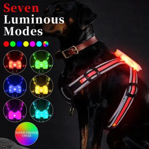 LEASSHES LED Dog Harness 7 i 1 Färg Antilost/bilolycka Lätt hund Harness Glödande USB Lumious Dog Collar Pet Vest for Dog Accessorie