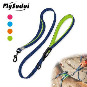 LEASSHES DUAL HANDLE HUND LEASH HÅLLBAKT BUCKLE Strong Pet Lead Robust med Bekväm handtag Säker krok för hundar Träningstillbehör