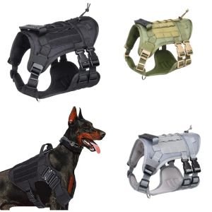 LEASSHES Stor hundsele och koppel Set Pet German Shepherd Malinois Training Walking Vest Dog Harness and Collar Set för alla raser hund