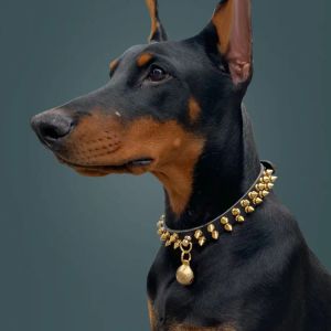 Collars Smalllarge Dog Collar Rivet Leather Pet Collar Doberman Greyhound French Bulldog Collar Dogs Accessories Collar Perro