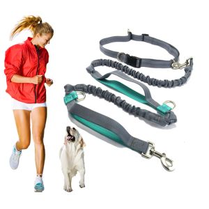 Leashes Pet Product Dog Leash Running Belt Jogging Sport Justerbart nylonhundrep med reflekterande remsa PET -tillbehör Hands gratis