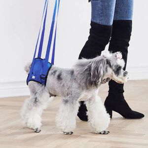 Leashes Adjustable Dog Support Walking Assist Harness Dog Training Leash Pet Dog Hind Limb Rehabilitation Outdoor Sports Belt