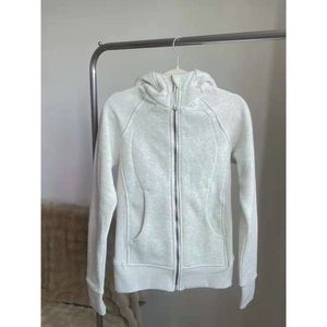 LU-088 2024 Yoga Kadınlar LL Egzersiz Spor Palto Fiess Ceket Taysası Spor Hızlı Kuru Aktif Giyim Üst Katı Zip Up Sweatshirt Sportwear Sıcak Satış