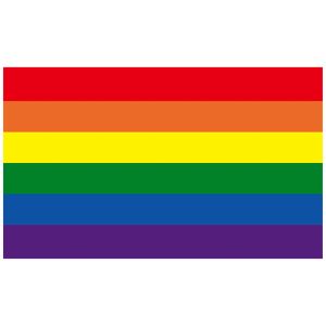 Tillbehör Rainbow Flag Banner Polyester Grommets hbt Gay Rainbow Progress Pride Flag For Room Decor Party Commemorate Gifts for Women Men