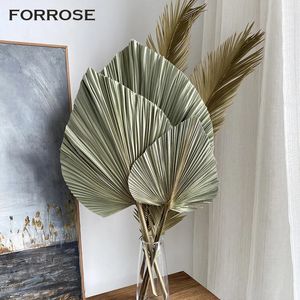 3st stora torkade palmblad naturliga blommor trimmade palmblad höstdekoration party konst vägg hängande boho bröllopsdekor 240321