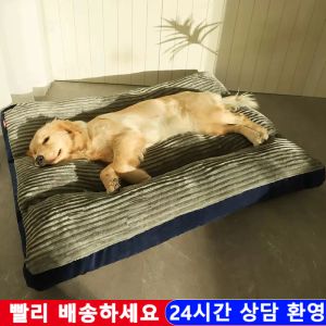 Mattor Deep Sleep Dog Bed Washable Kennel Four Seasons Pet Large Soffa Plus Corduroy tjock kudde valpmatta för små till stora hundar
