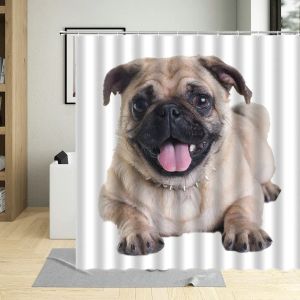 Perdeler Yaratıcı Pug Komik Köpek Köpek Desen Duş Perde Su Geçirmez Polyester Kumaş Banyo Perdeleri Ev Dükkanı Kancalarla Ev Dekoru