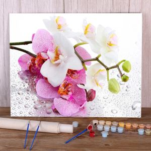 Anzahl Blume Orchidee Malen Nach Zahlen Paket Ölfarben 50*70 Leinwand Malerei Dekorative Gemälde Für Kinder Handarbeit kunst