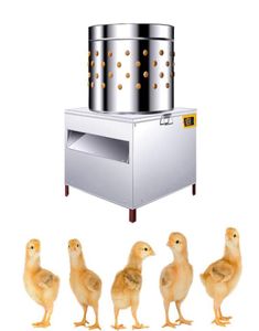 30 Modell Automatisk Chick Poultry Bird Hair Removal Machine Rostfritt stål Pucking Machine Duck Plucker Chicken Defeatering5014674