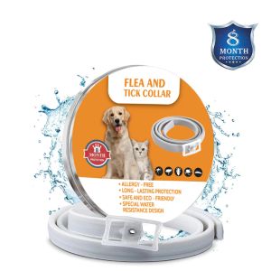 Coleiras para cães e gatos, coleiras para pulga, 8 meses ajustáveis para pequenos, médios e grandes, acessórios para animais de estimação, produtos para mosquitos e insetos