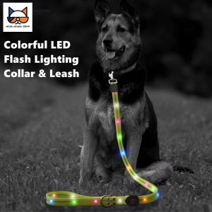 Coleiras LED Dog Leash Collar Set Impermeável Reflexivo Corda de Nylon Recarregável USB Luz Piscando para Segurança Noturna Caminhada Coleira para Animais de Estimação