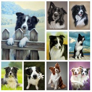 Stitch 5D Border Collie Pet Dog Diamond Rhinestones Målning Animal Wall Art Cross Stitch Brodery Picture Mosaic Craft Bedroom Decor