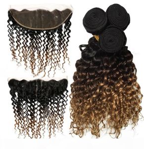Brazilian Ombre Deep Wave Bundles with 134 Lace Frontal Ear to Ear 100 Remy Human Hair Weaves Ombre Bundles 1b 4 27 Color6994325