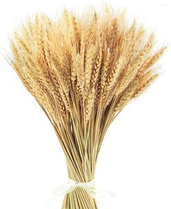 Decorative Flowers 17.7 Inches Dried Wheat Stalks - Perfect For Christmas Autumn Thanksgiving Harvest Natural Wedding Boho Farmhouse