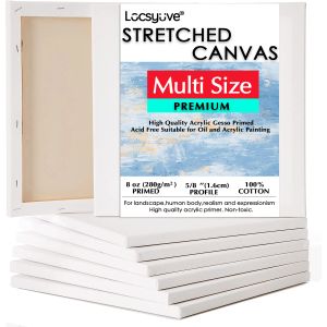 Leveranser sträckta dukbrädor för att måla 6 pack med 12x12 tum30x30 cm 100% bomullsblomma konstdukar inramade duk för oljemålning