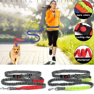 Guinzagli Guinzaglio per cani riflettente Cintura da jogging per corsa Sport Pet Guinzaglio elastico elastico per cani di taglia grande fino a 150 libbre gratis