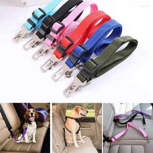 Collari per cani Prodotti per animali domestici in nylon Fibbia di sicurezza per auto Guinzaglio Tappetino Corda fissa Cintura di sicurezza