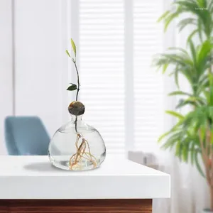 Vasi Vaso per piante in vetro Contenitore per coltivazione di alberi Resistente al calore Vaso da fiori Regalo per amanti del giardinaggio Accessori per fioriere eleganti