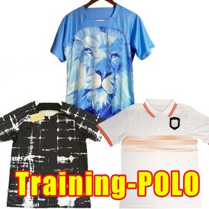 2024 2025 Olanda MEMPHIS maglie da calcio DE JONG Olanda DE LIGT WIJNALDUM VAN DIJK 24 25 maglia da calcio uomo DUMFRIES FANS versione Training POLO